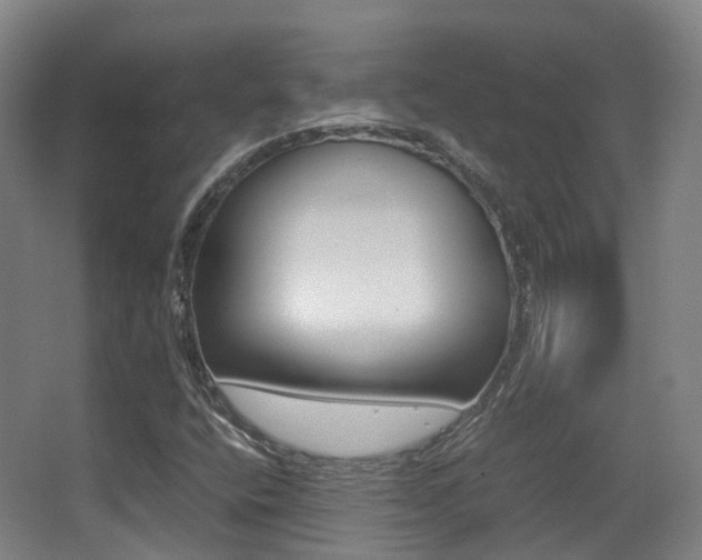 X0000062851400200601130908