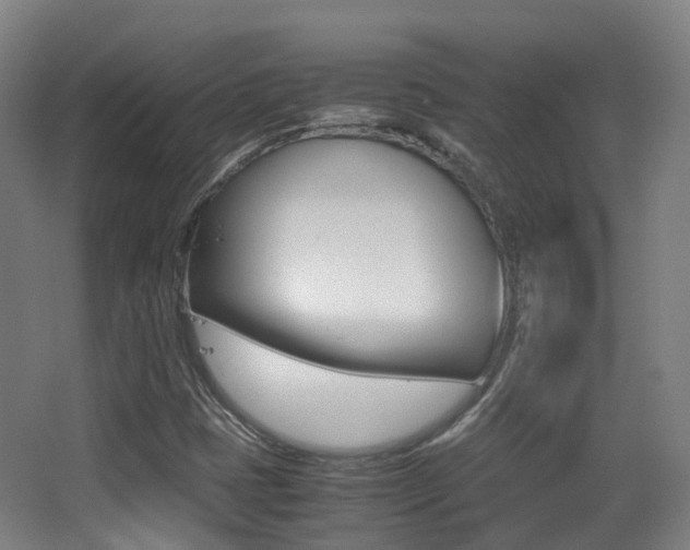 X0000062851401200601130908