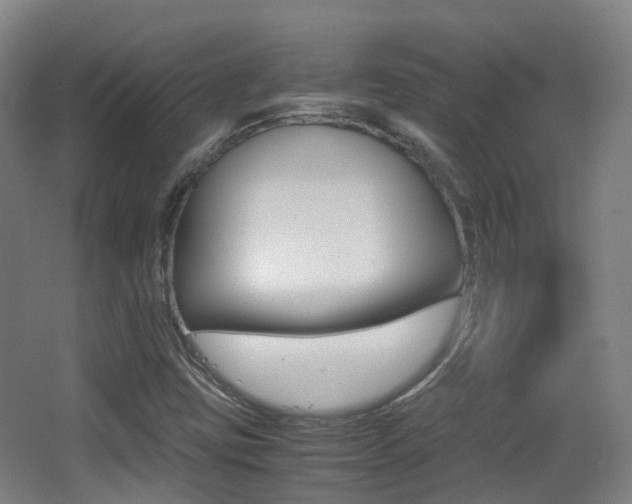 X0000062851403200601130908