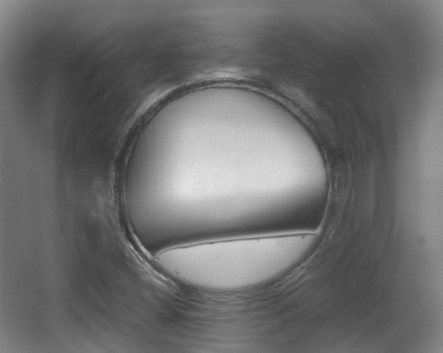 X0000062851404200601130908