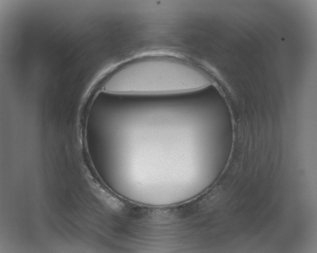 X0000062851408200601130908