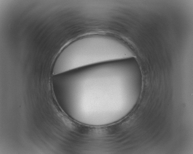 X0000062851409200601130908