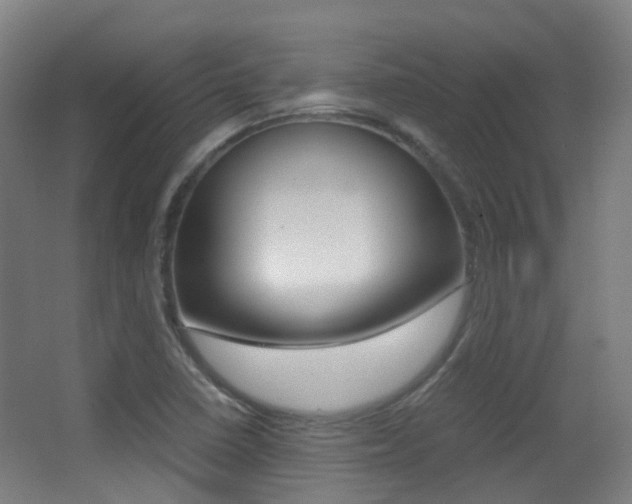 X0000062851410200601130908