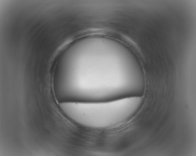 X0000062851411200601130908