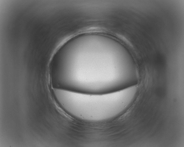 X0000062851413200601130908