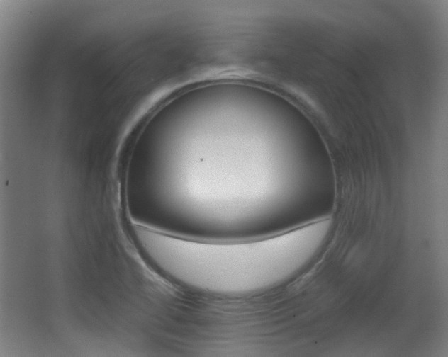 X0000062851414200601130909