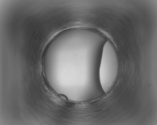 X0000062851415200601130909