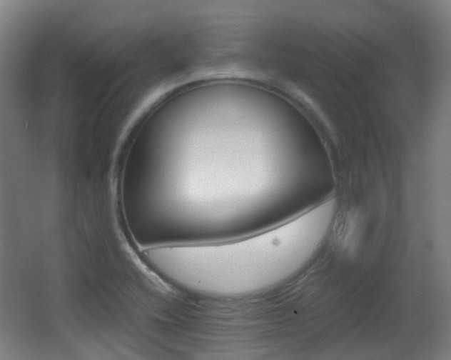 X0000062851416200601130909