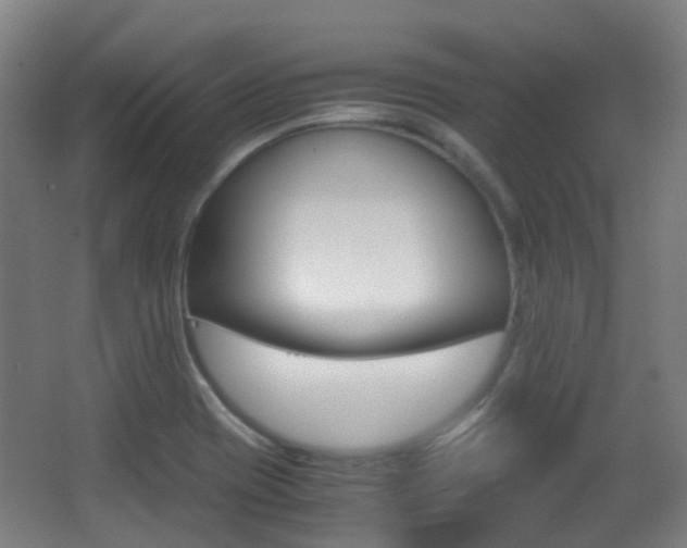 X0000062851417200601130909