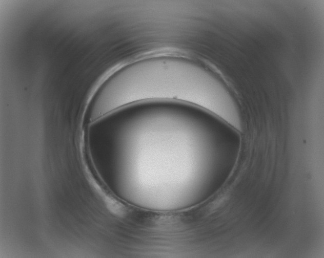 X0000062851418200601130909