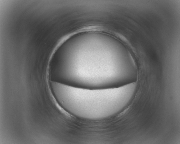 X0000062851421200601130909