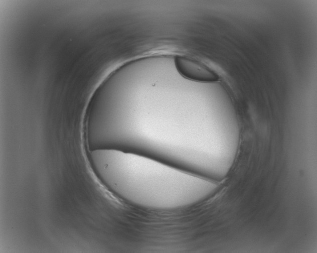X0000062851423200601130909
