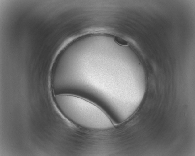 X0000062851424200601130909