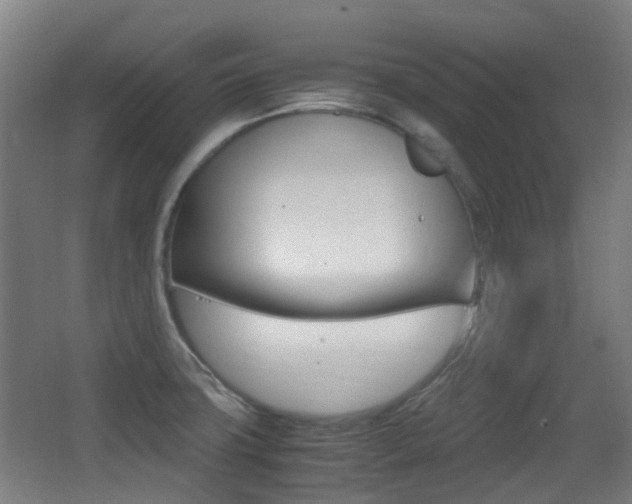 X0000062851427200601130909