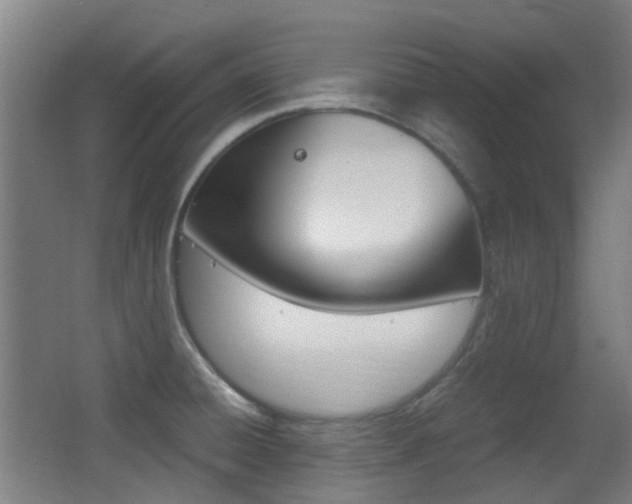 X0000062851428200601130909