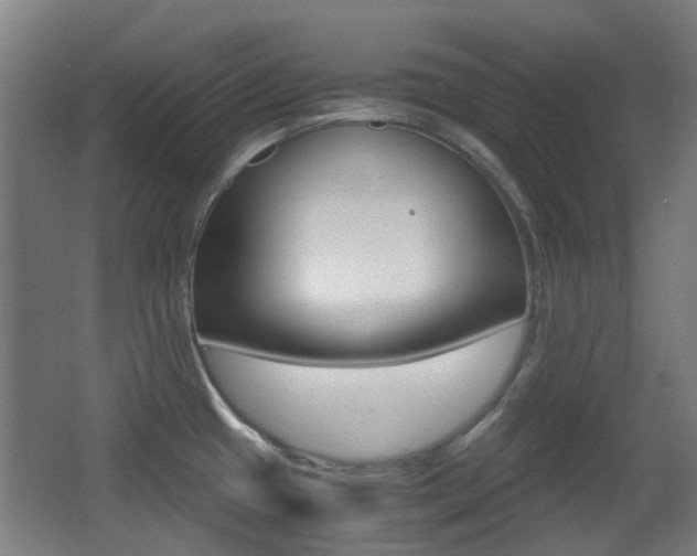 X0000062851433200601130909