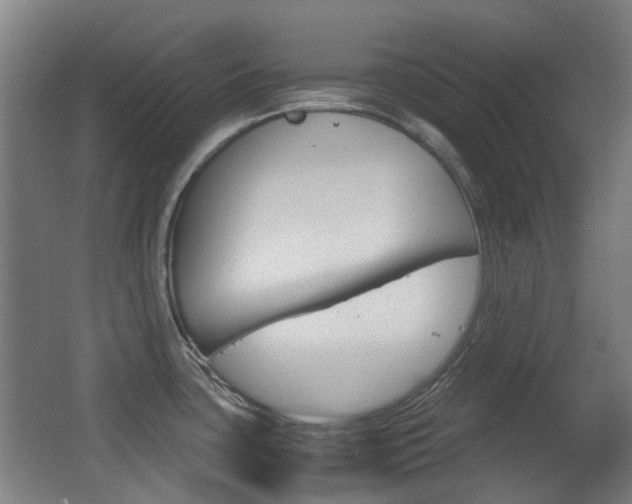 X0000062851435200601130909
