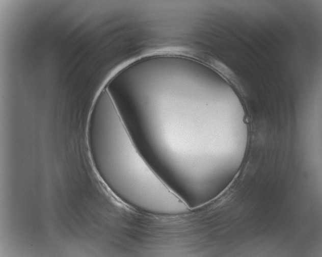 X0000062851436200601130909