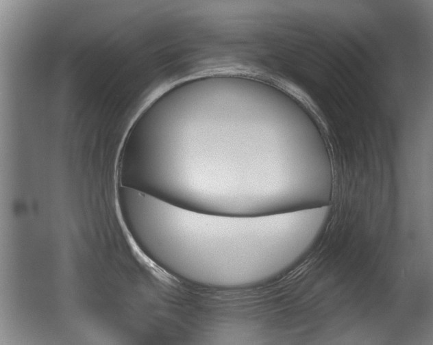 X0000062851439200601130909