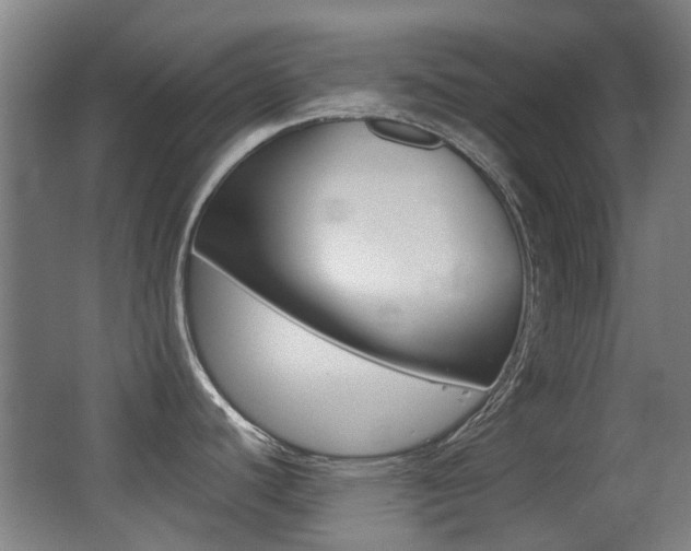 X0000062851440200601130909
