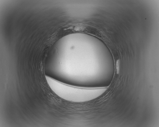 X0000062851443200601130908