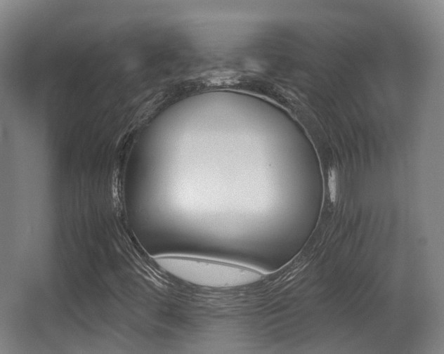 X0000062851444200601130908