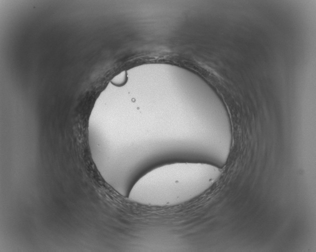 X0000062851447200601130908