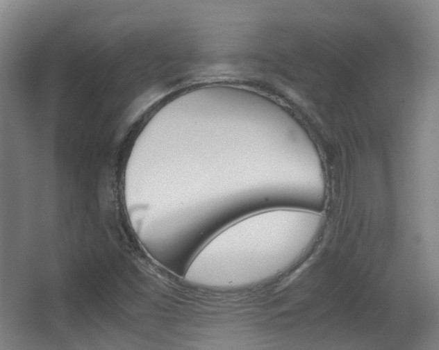 X0000062851453200601130908