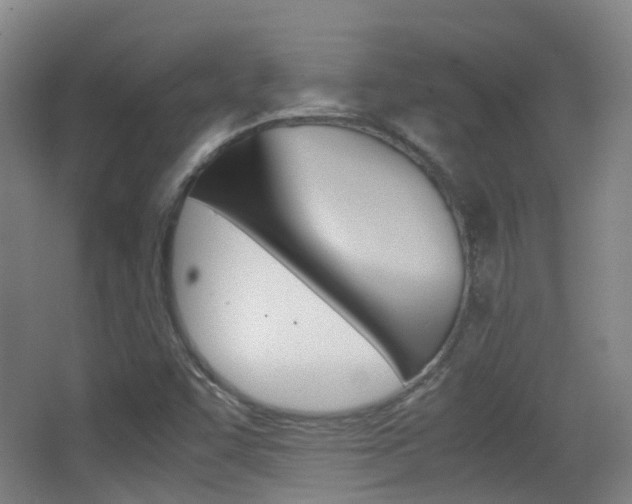 X0000062851455200601130908