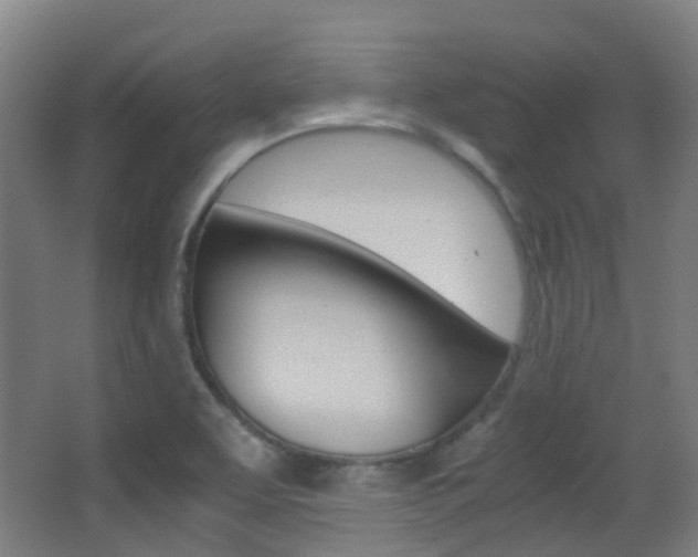X0000062851463200601130908