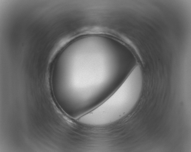 X0000062851464200601130908