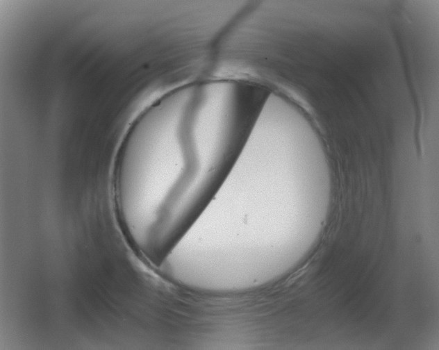 X0000062851471200601130908