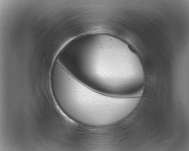 X0000062851476200601130908