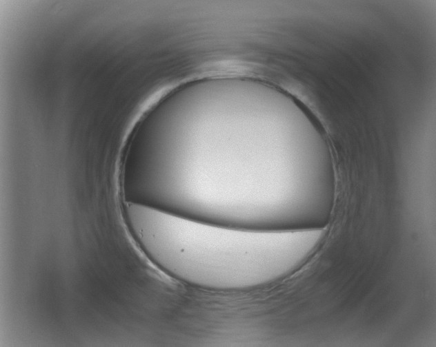 X0000062851477200601130908