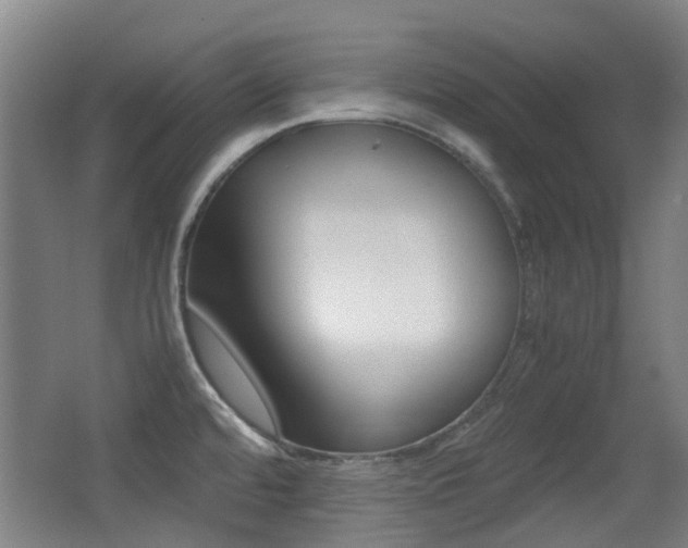 X0000062851480200601130907
