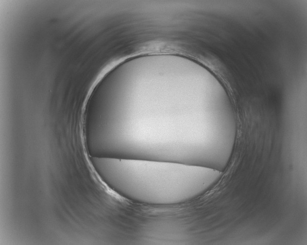 X0000062851486200601130907