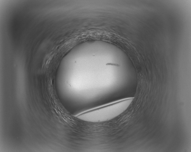 X0000062851489200601130906