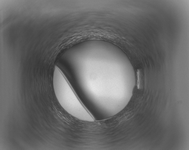 X0000062851491200601130907