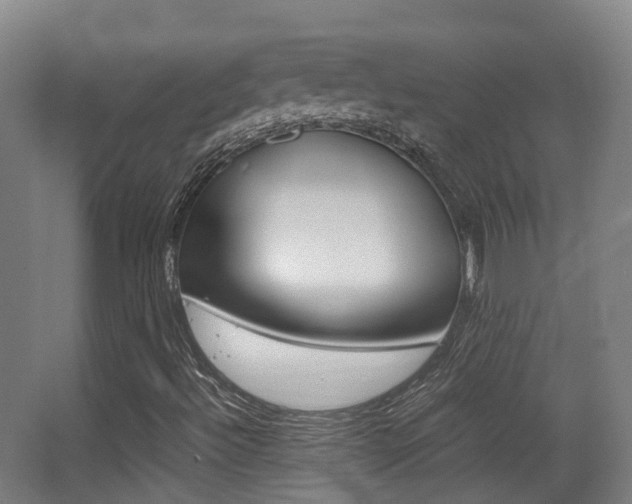 X0000062851492200601130907