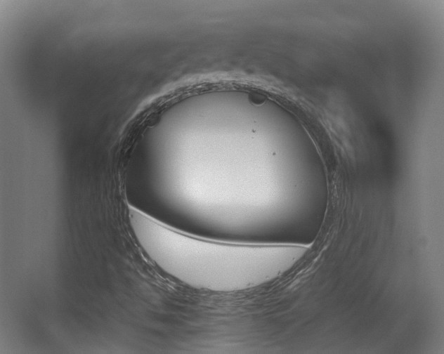 X0000062851494200601130907