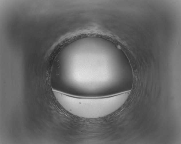 X0000062851495200601130907