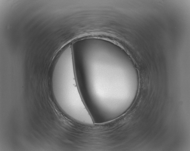X0000062851497200601130907