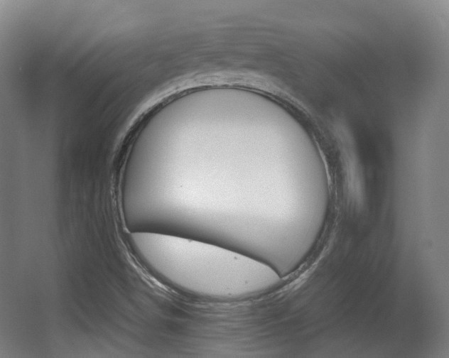 X0000062851498200601130907