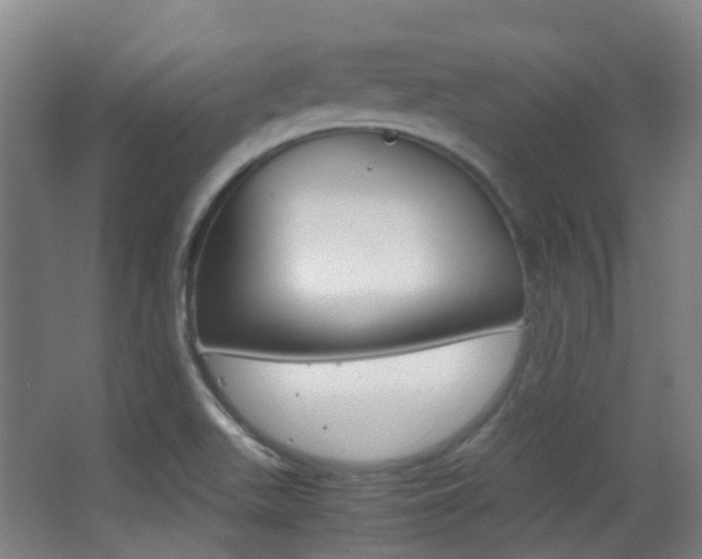 X0000062851511200601130907