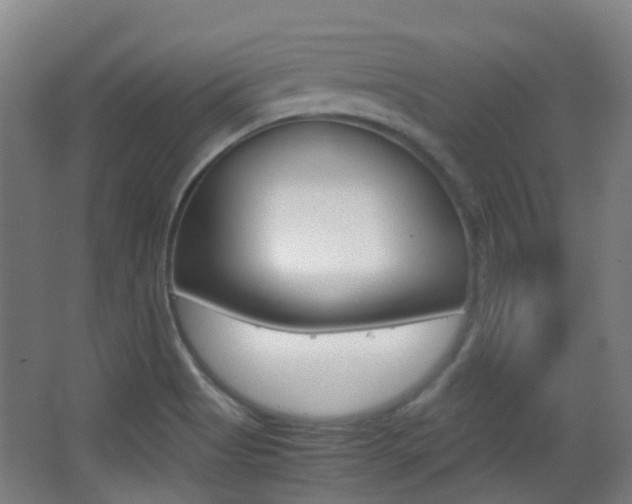 X0000062851513200601130907