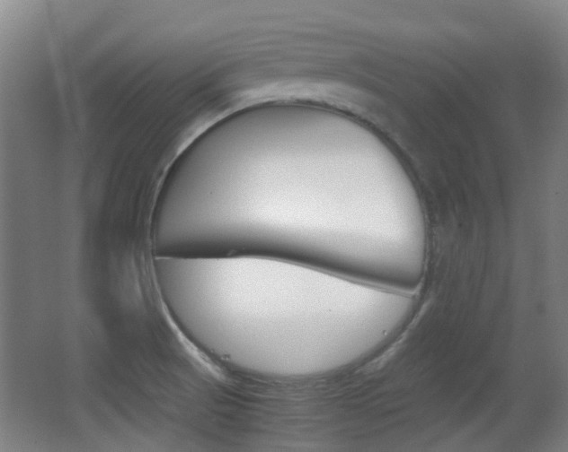 X0000062851521200601130907