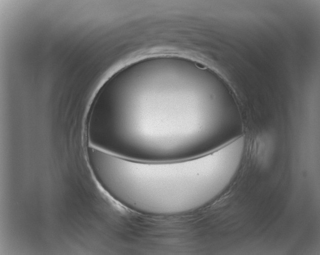 X0000062851527200601130907