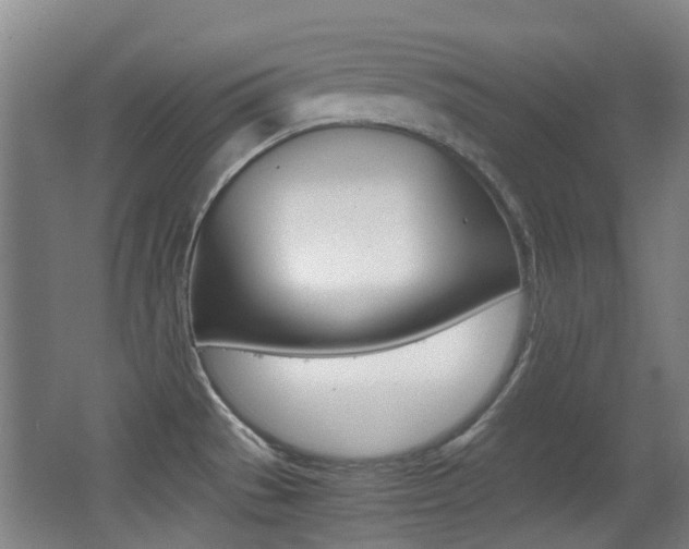 X0000062851529200601130907