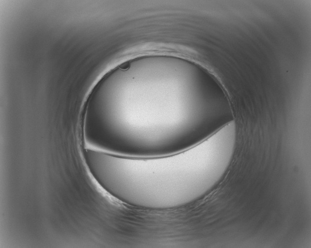 X0000062851531200601130907