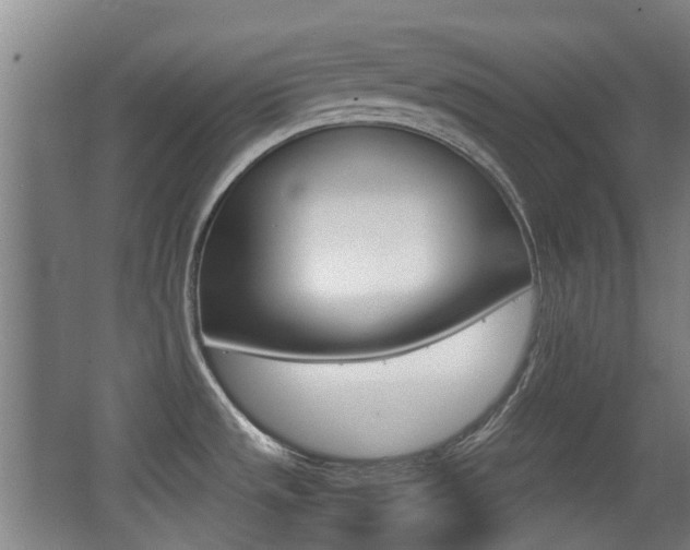 X0000062851533200601130907